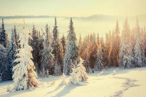 brouillard dans les montagnes d'hiver. coucher de soleil fantastique photo