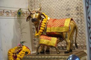 Statue de vache sacrée à gau ghat dans la ville de delhi en inde photo