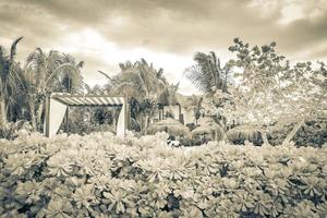 stations balnéaires et vue sur le paysage de la nature tropicale holbox mexique. photo