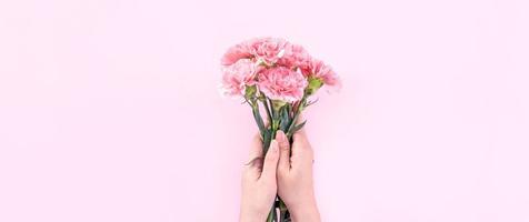femme donnant un bouquet d'élégance fleurissant des oeillets tendres de couleur rose bébé isolés sur fond rose vif, concept de design de décoration pour la fête des mères, vue de dessus, gros plan, espace de copie photo