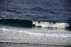 vagues en mer photo