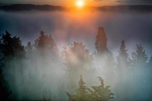 brume au lever du soleil en toscane photo