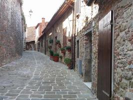 vue sur la ville de lucignano photo