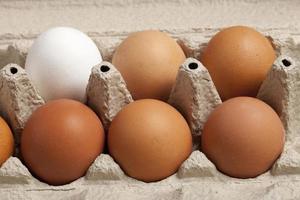 vue rapprochée des œufs de poule crus en boîte, blanc d'œuf, brun d'œuf sur fond photo