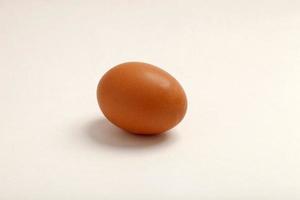 œuf de poule, de couleur brune. photo