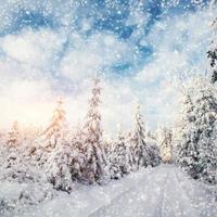 chemin d'hiver. belle illustration couleur haute résolution avec un holida photo