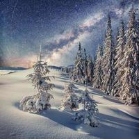 randonnée des étoiles laitières dans les bois d'hiver. carpates, ukraine, europe photo