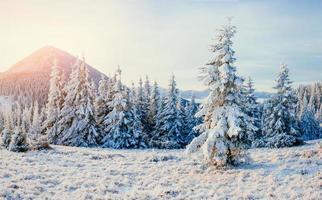 paysage d'hiver brillant par la lumière du soleil. scène hivernale dramatique. voiture
