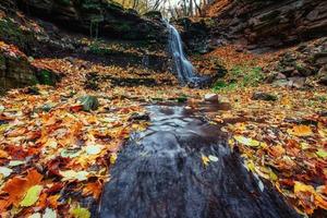 belle cascade dans le paysage d'automne de la forêt. monde de la beauté photo