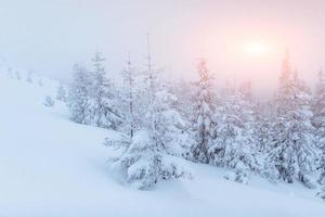 brouillard dans les montagnes d'hiver. coucher de soleil fantastique. photo