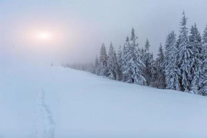 brouillard dans les montagnes d'hiver. coucher de soleil fantastique. photo