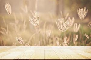 Perspective vieux bois sur fleur d'herbe dans un style pastel et doux en lumière évasée pour fond extérieur photo