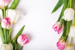 belles tulipes sur fond en bois blanc. humeur printanière photo