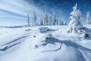 paysage d'hiver fantastique et arbre en givre. en prévision photo