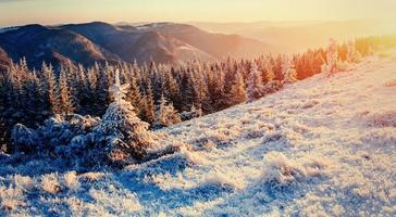 fantastique paysage d'hiver dans les montagnes. coucher de soleil magique dans un photo