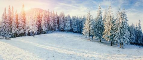 fantastique paysage d'hiver dans les montagnes. coucher de soleil magique dans un photo