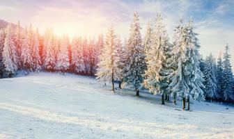 fantastique paysage d'hiver dans les montagnes. coucher de soleil magique dans un photo
