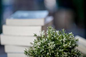 livre placé sur le bureau beaucoup de livres, belles couleurs pour étudier, savoir, éducation - images photo