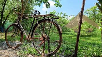 vieux décor de vélo rouillé sur l'herbe verte photo