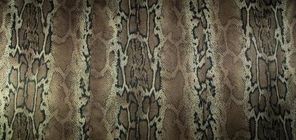 texture de tissu imprimé rayures serpent pour le fond photo