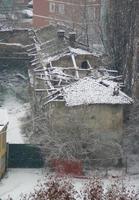 arbres et ruines couvertes de neige en hiver photo