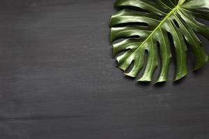 monstera est un sol tropical. sur plancher en bois avec fond noir photo