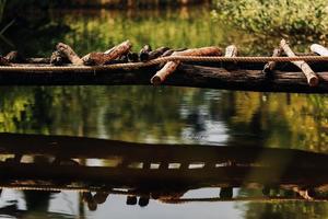 un pont en bois improvisé sur un ruisseau rapide. pont en bois fait maison à travers le fossé. photo