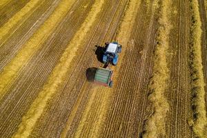 travail agricole sur la tonte du foin - un vieux tracteur avec des traces de rouille enlève le foin antérieur et forme des loups ronds de paille. photo