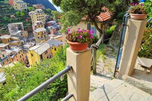 italie, riomaggiore rues colorées photo