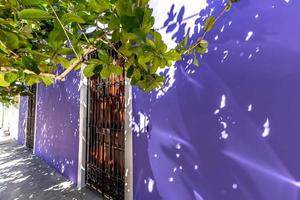 belles rues et maisons coloniales de coyoacan à mexico photo