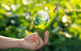 concept d'économie d'énergie, jour de la terre, main tenant la terre dans une ampoule contre nature sur feuille verte avec papillon sur fond de parc verdoyant. élément de cette image fournie par la nasa photo