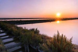 salines de cervia photo