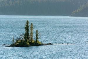 île aux oies sauvages lac sainte marie photo