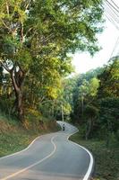 routes de village rural et arbres verts d'été photo