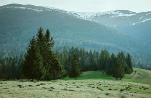 paysage de la colline avec des meules de foin dans les grandes montagnes au printemps par temps nuageux photo