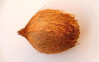 noix de coco sur fond blanc image hd photo