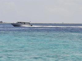 incroyable beauté naturelle des maldives photo