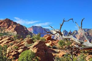 paysages pittoresques du parc de zion photo