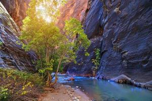 pittoresque parc de zion paysages pittoresques au coucher du soleil photo