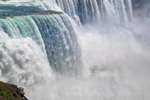 chutes du niagara, côté américain, bison photo