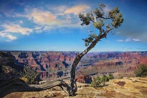 vues panoramiques et paysages du grand canyon photo