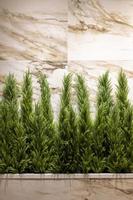 la beauté de la décoration de la maison, des pots de plantes vertes placés sur un mur de pierre