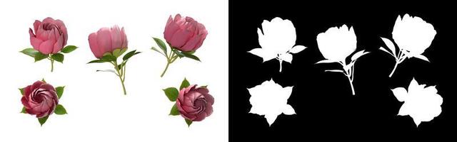 Ensemble de fleurs 3d rose isolé avec variation d'angle différent de sélection photo