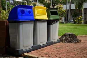 poubelles séparées par couleurs photo