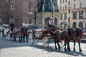 Cracovie, Pologne, 2014. calèche et chevaux photo