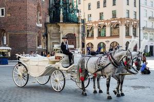 Cracovie, Pologne, 2014. calèche et chevaux photo