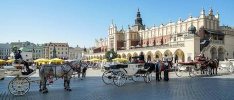 Cracovie, Pologne, 2014. calèche et chevaux photo