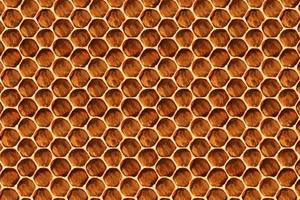 motif en nid d'abeille pour le fond et la texture. notion d'apiculture. photo