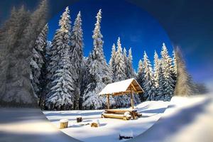 beau paysage d'hiver photo