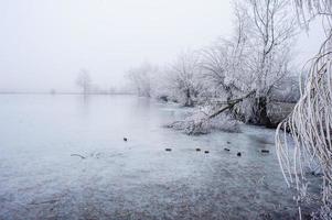 Lac de lande gelé en hiver photo